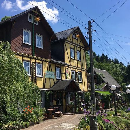 Haus Rennsteigrose Διαμέρισμα Steinheid Εξωτερικό φωτογραφία